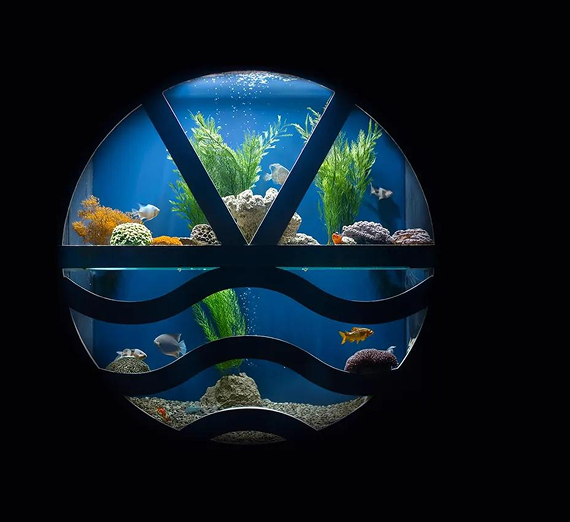 A round aquarium against a dark background, featuring blue water, green plants, colorful fish, and decorative gravel.
