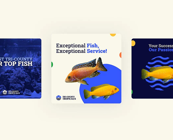 Three social media graphics for Tri-County Tropicals featuring colorful fish and branding against blue and white backgrounds.