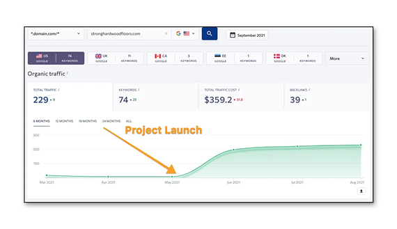 A dashboard showing a project launch point followed by a significant increase in organic traffic on a line graph.