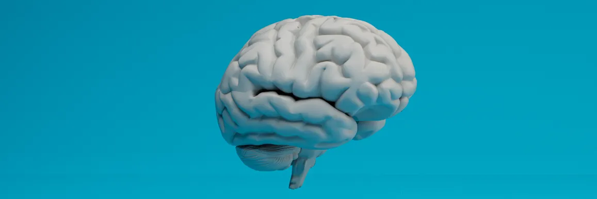 A 3D model of a human brain shown from a side view against a solid teal background.