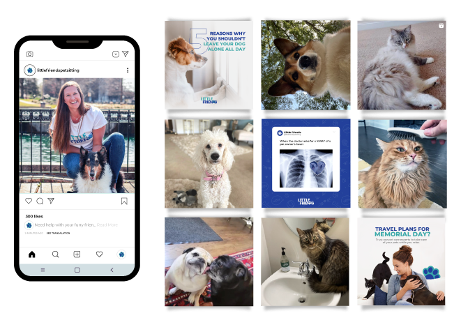 Instagram post grid featuring pet photos, a woman, and x-ray image promoting pet health, possibly a veterinary practice.