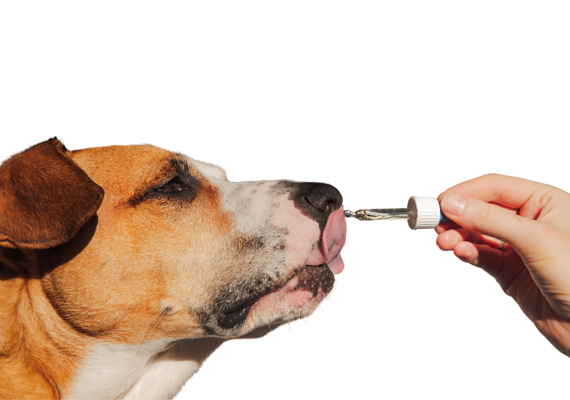 Medication Administration