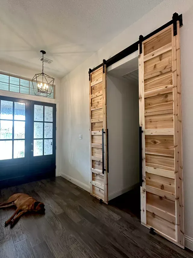 A dog is laying on the floor in a room with sliding barn doors.
