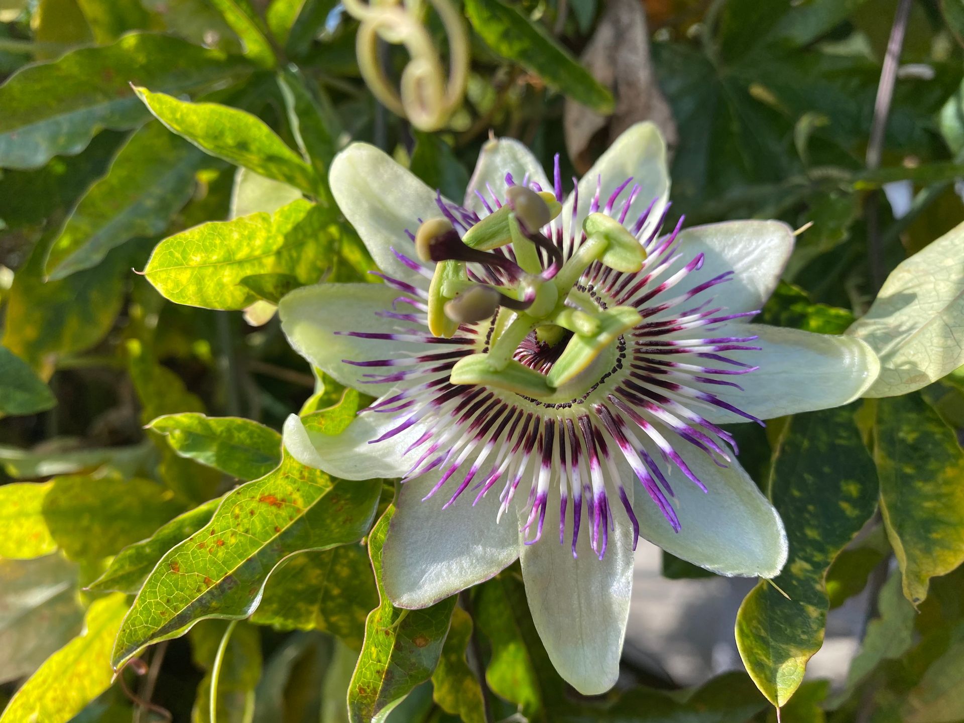 humorvolle Gedanken zu schwierigen Themen Erzählungen, Geschichten