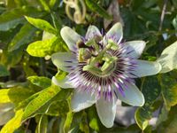 Erzählungen, Geschichten