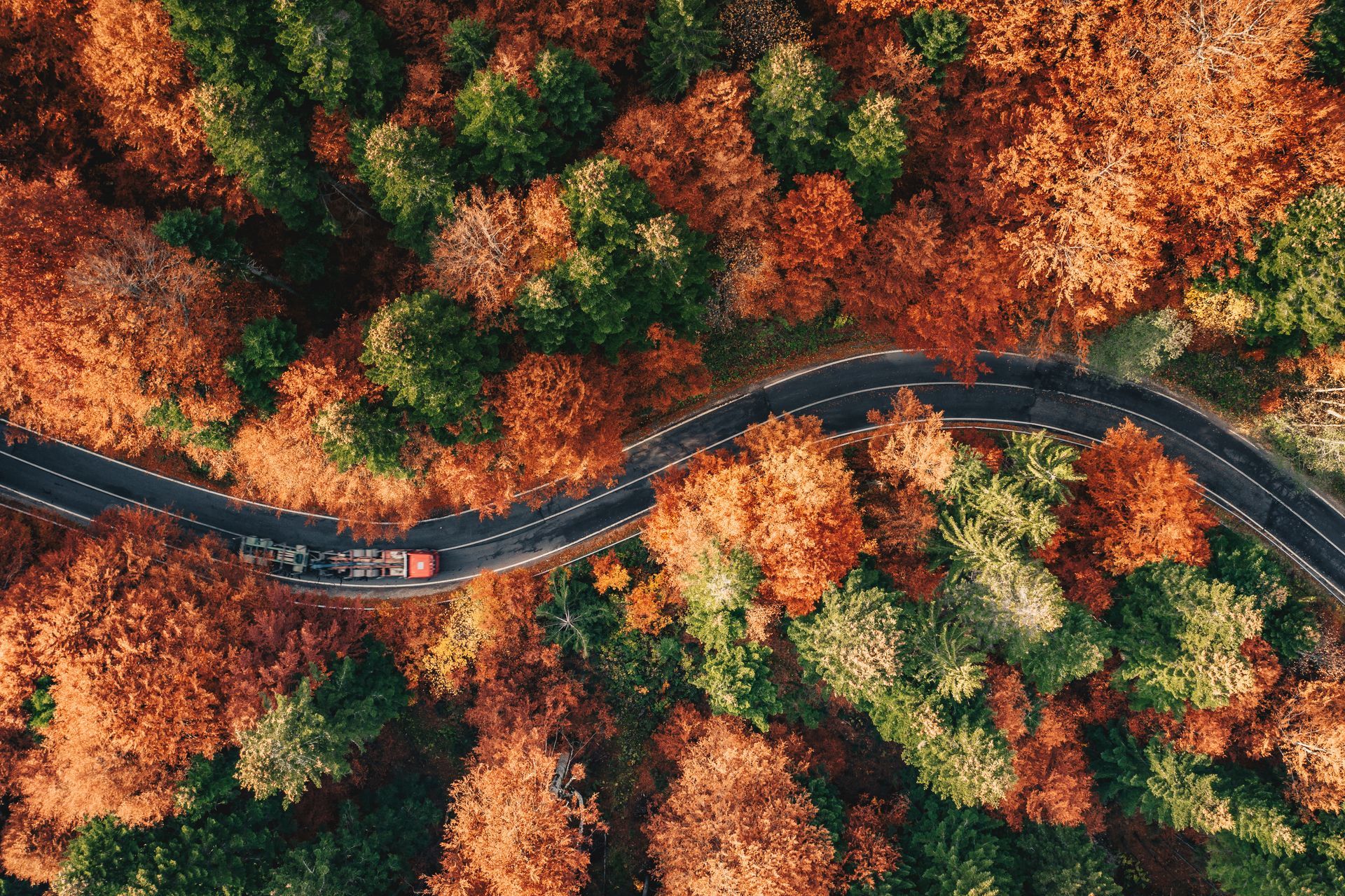 How to Prepare Your Vehicle for Ontario’s Changing Fall Weather | MechaniQ