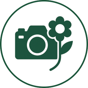 Beautiful Presentation icon