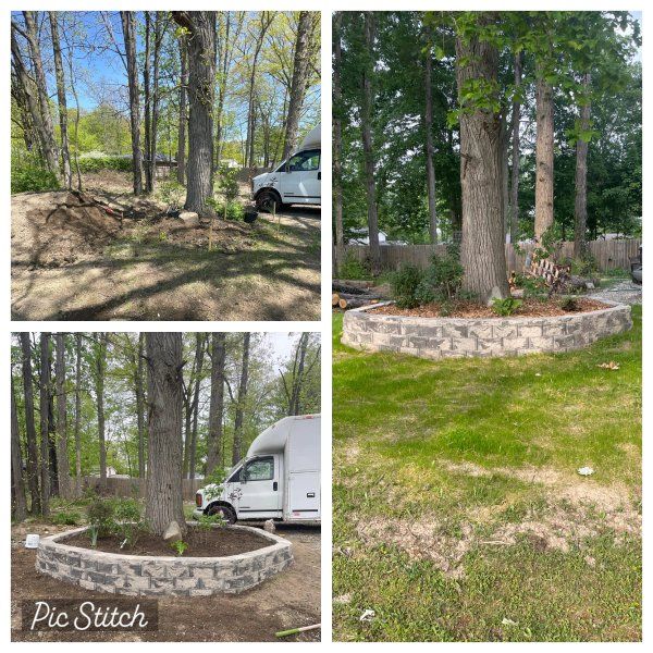 A collage of four pictures of a tree surrounded by trees and a stone wall.