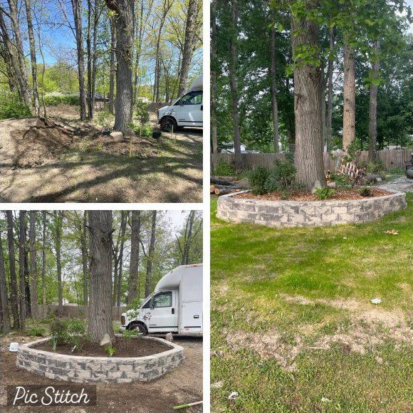 A collage of four pictures of a tree surrounded by trees and a stone wall.