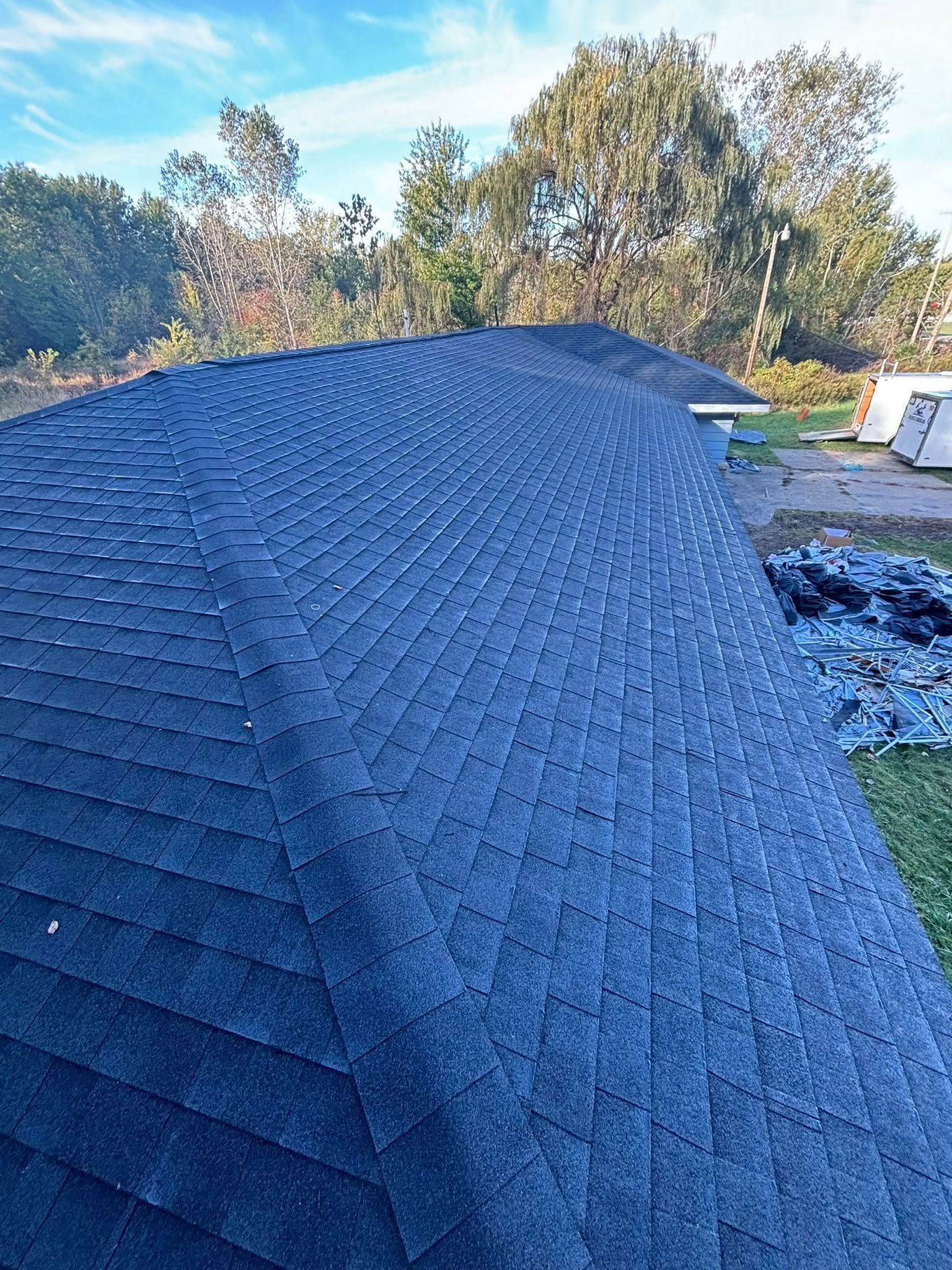 Dark-shingled roof angled toward the viewer, with trees and blue sky visible in the background.