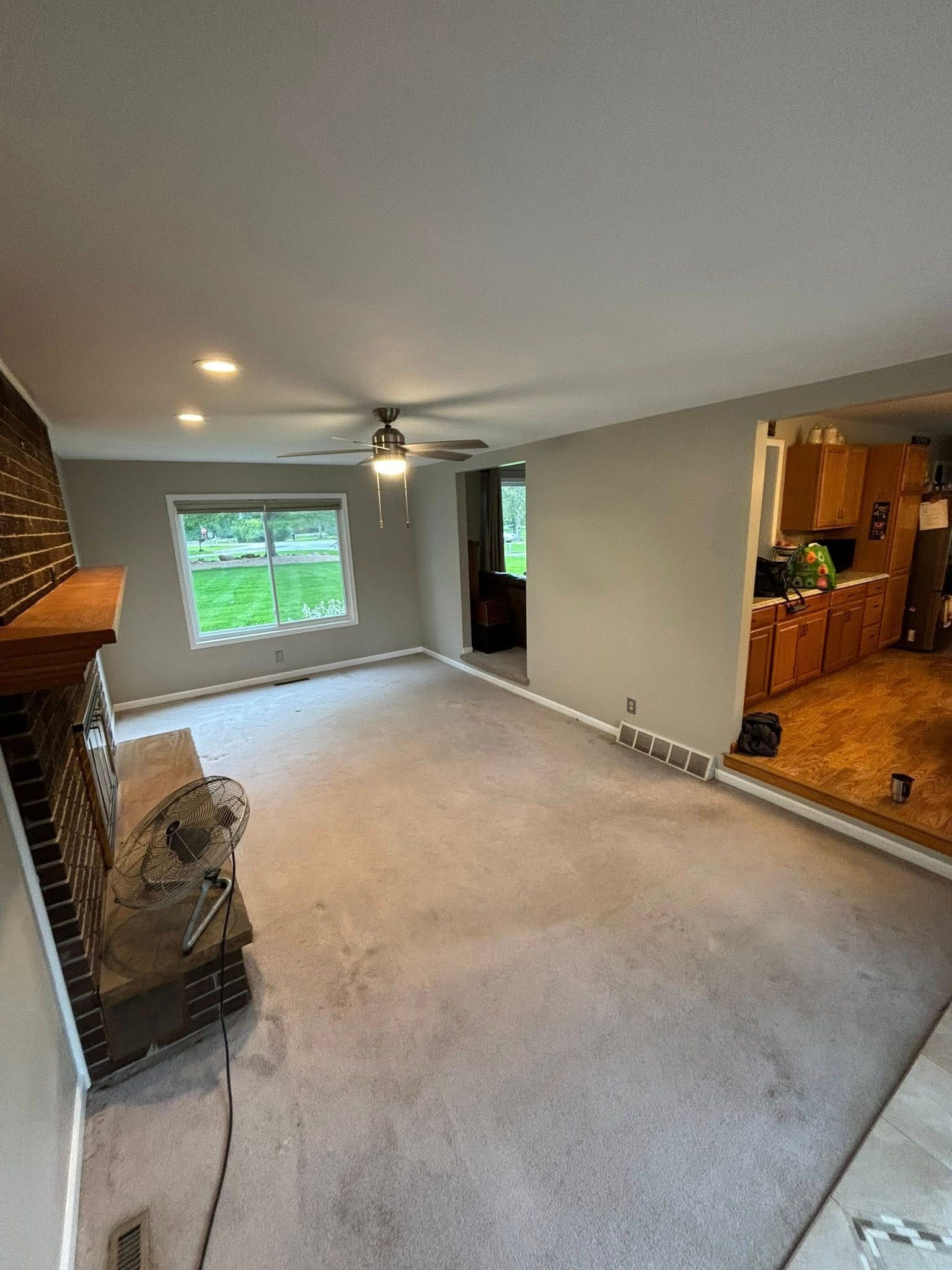 Empty living room with gray walls, beige carpet, fireplace, and window overlooking greenery.