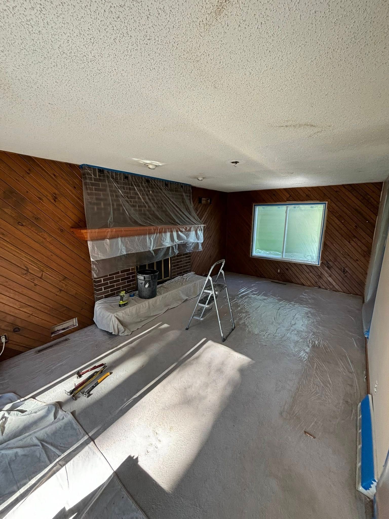 Living room renovation in progress, featuring wood paneling, fireplace, carpet, and a window.