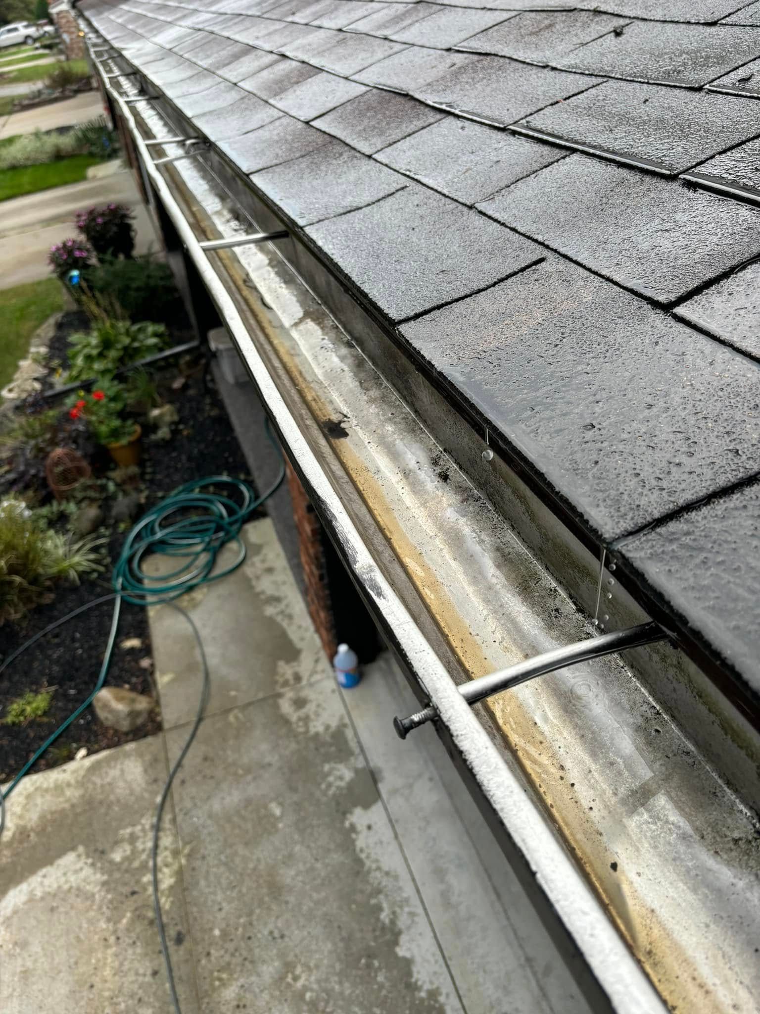 Gutter on a roof filled with debris and water, next to wet shingles and concrete.
