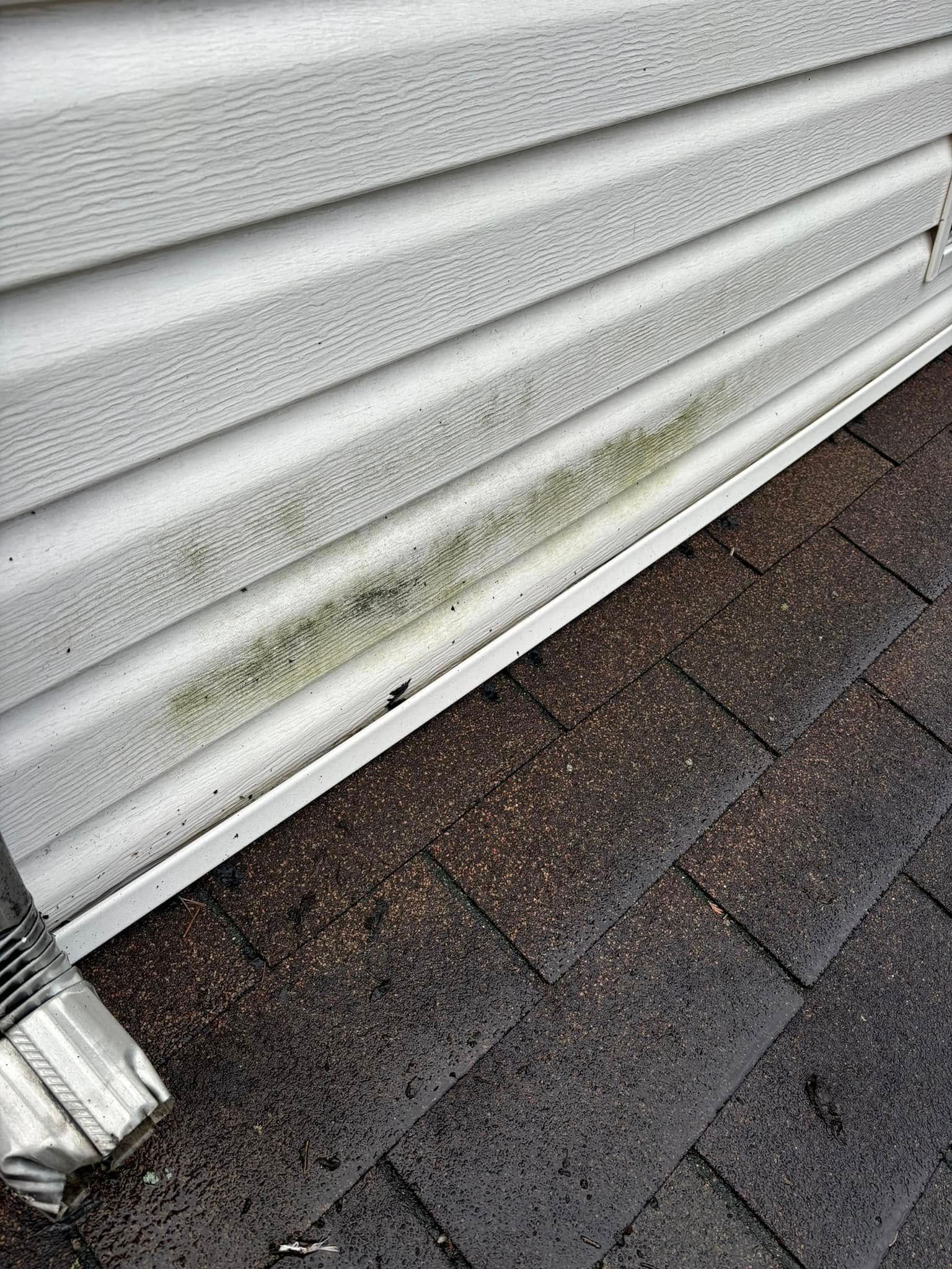 Green and black mildew on white vinyl siding above dark brown asphalt roof.