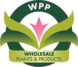 Wholesale Plants & Products Pty Ltd