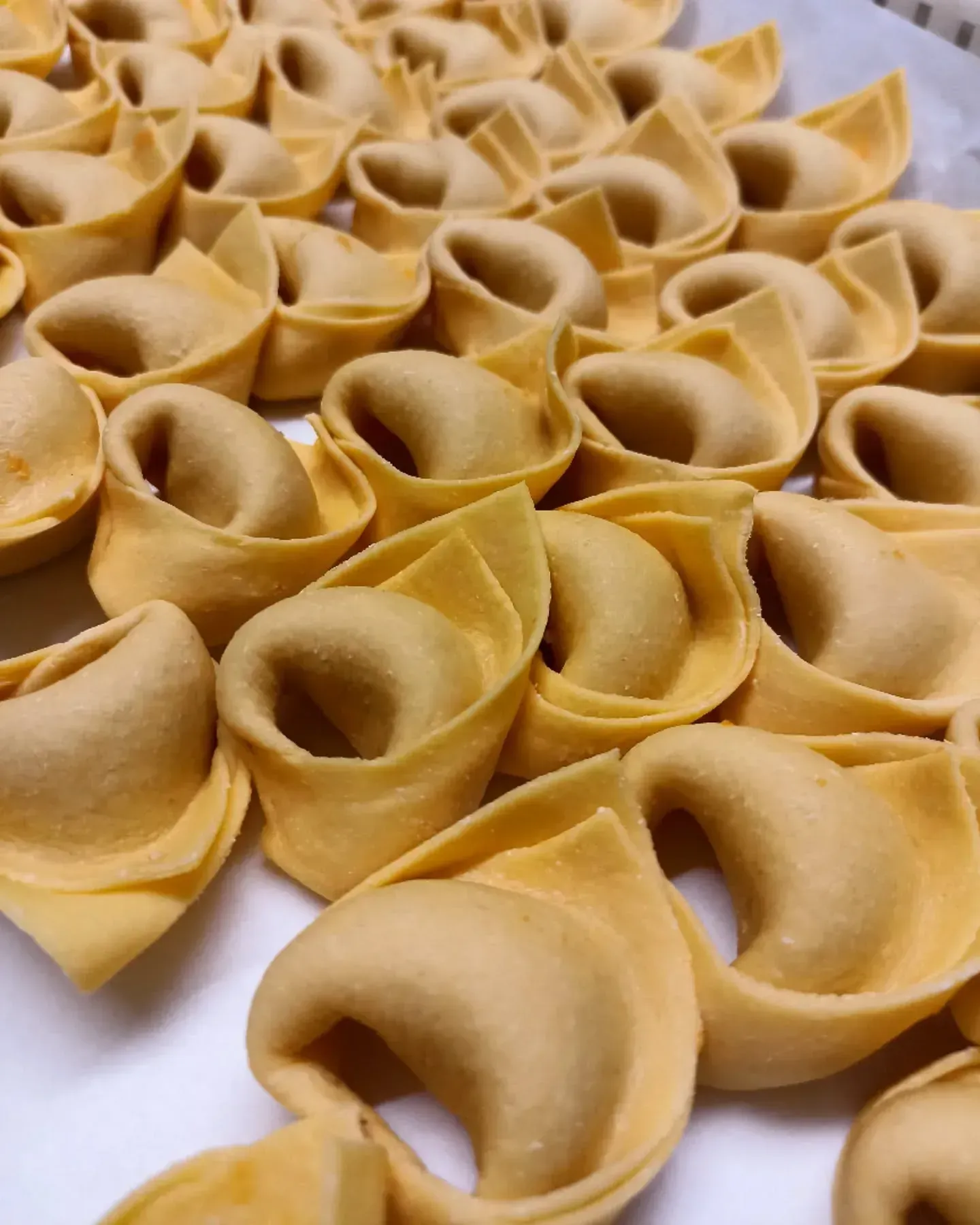 Pasta fresca e cruda per tortellini su una superficie bianca, pronta per essere cotta.