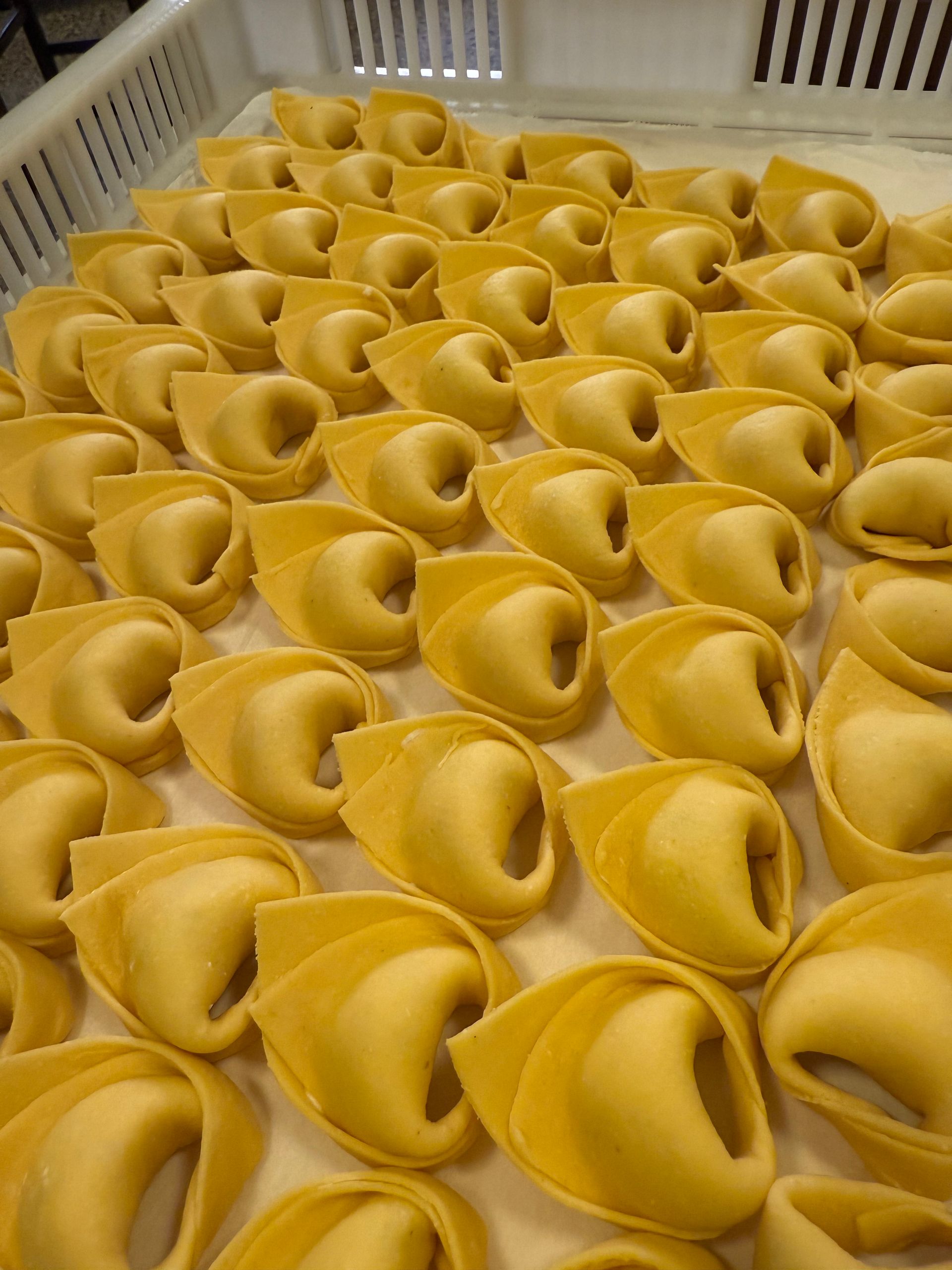 Vassoio di pasta fresca gialla per tortellini, ordinatamente sistemata.