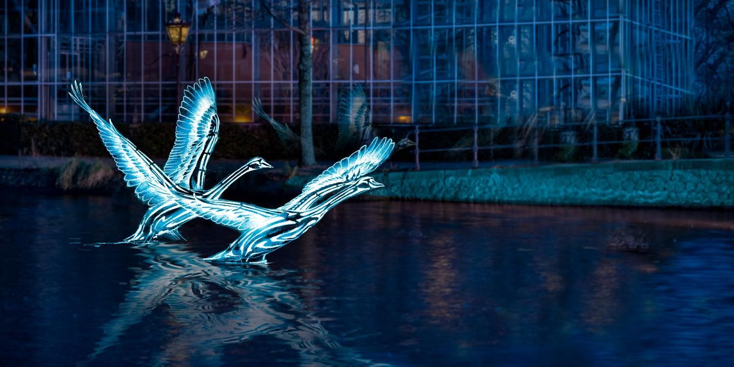 Privé salonboot met eten in de Amsterdamse Grachten
Wat is er romantischer en gezelliger dan te varen in je eigen prive salonboot waar aan boord een driegangen diner wordt geserveerd? Een luxe rondvaart met eten door de mooie grachten van Amsterdam. Ideaal voor een romantische avond,  een verjaardag of een stijlvol zakelij