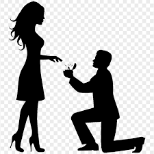 Marriage proposal on the romantic tour Amsterdam