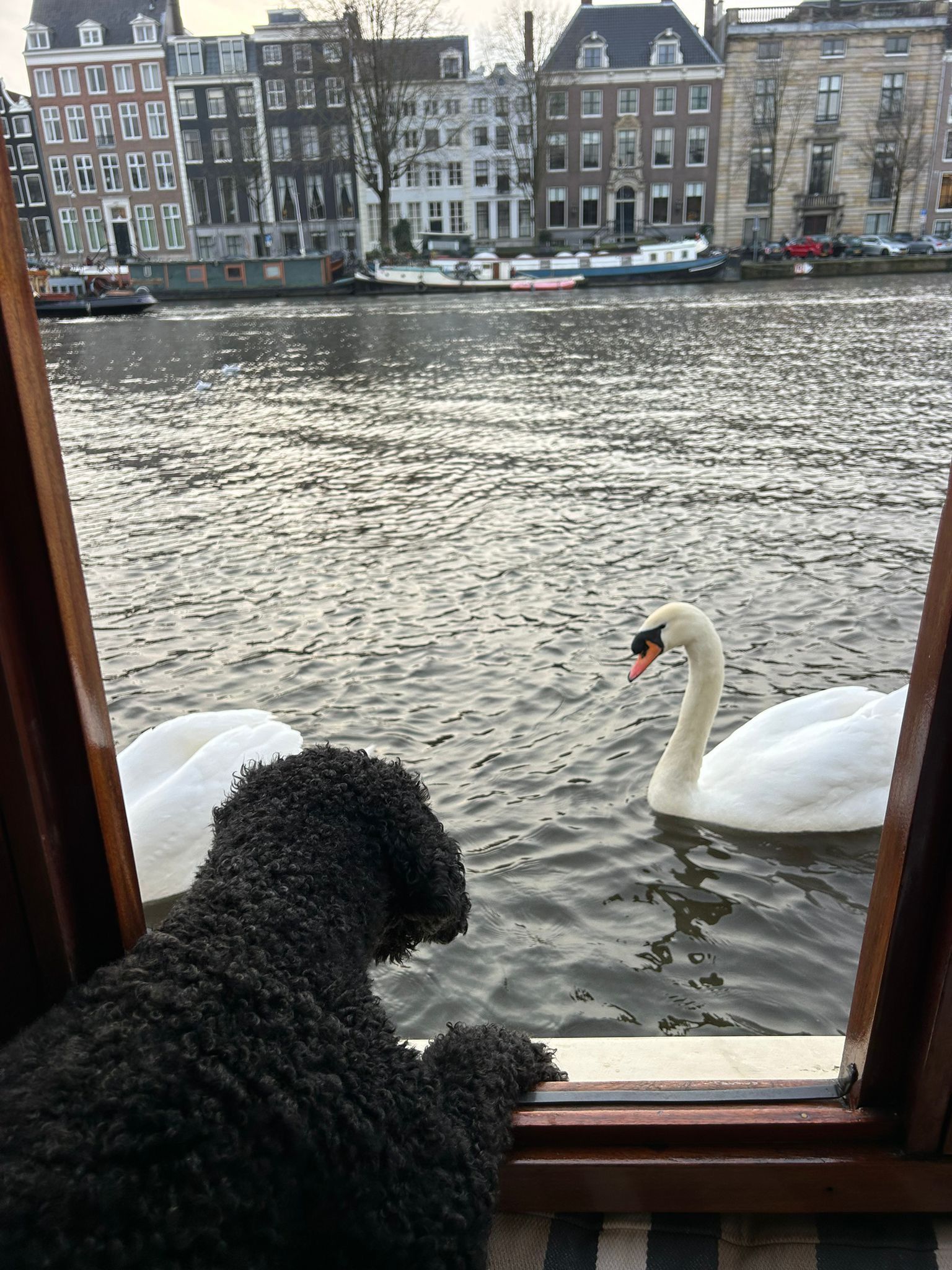 City Canal cruise in Amsterdam