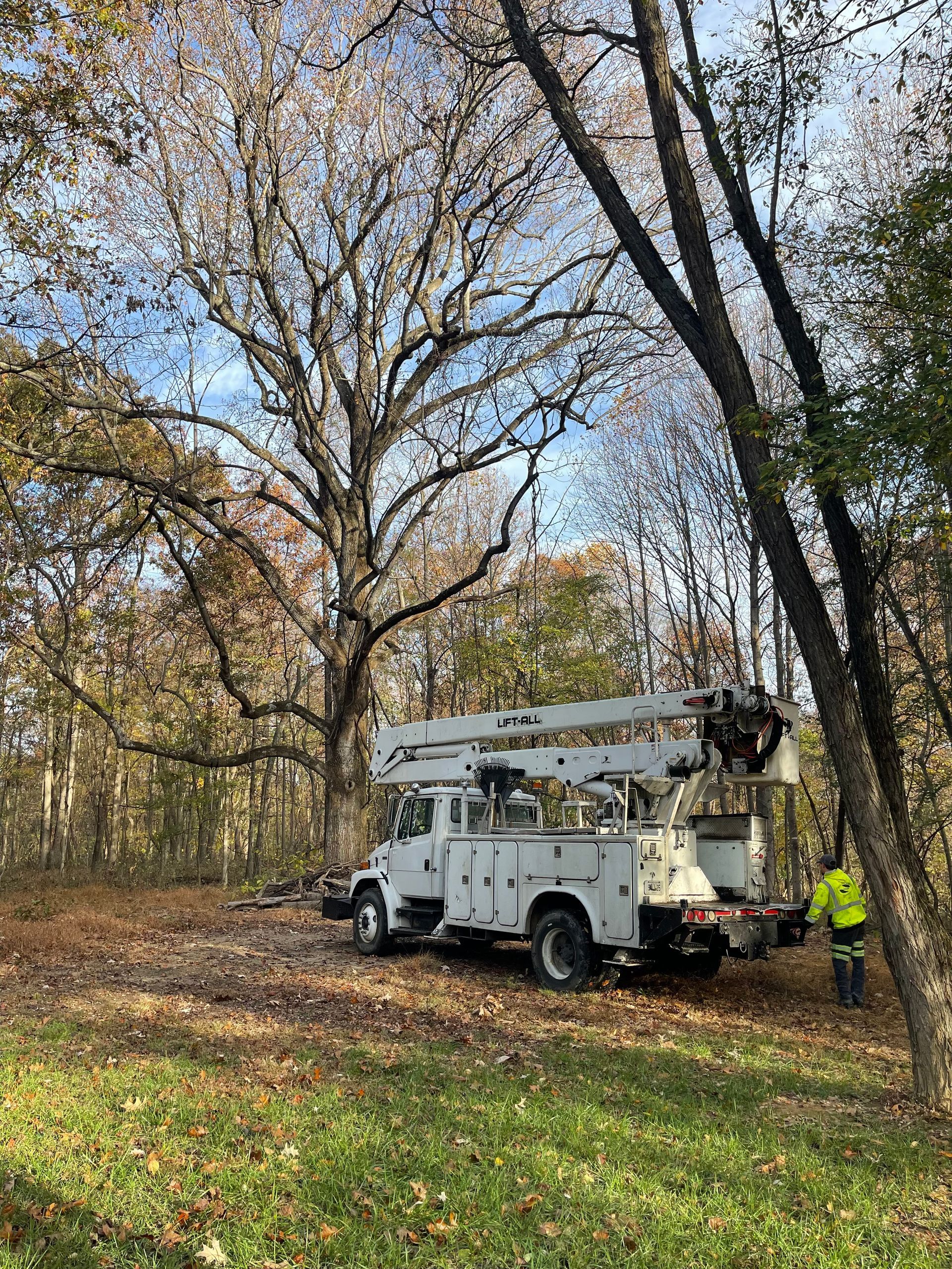 A white utility truck is parked in the middle of a forest.