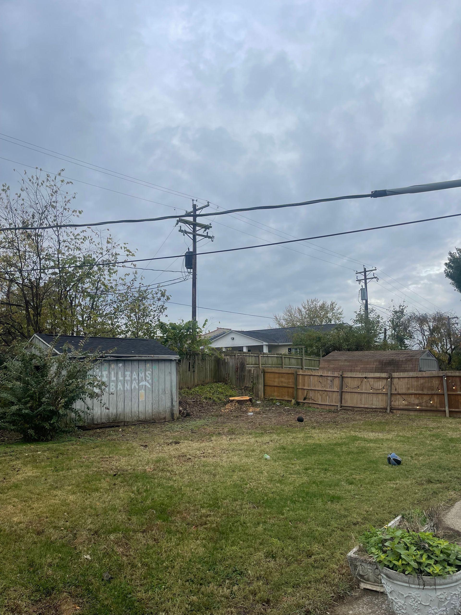 A backyard with a shed , fence , and power lines.