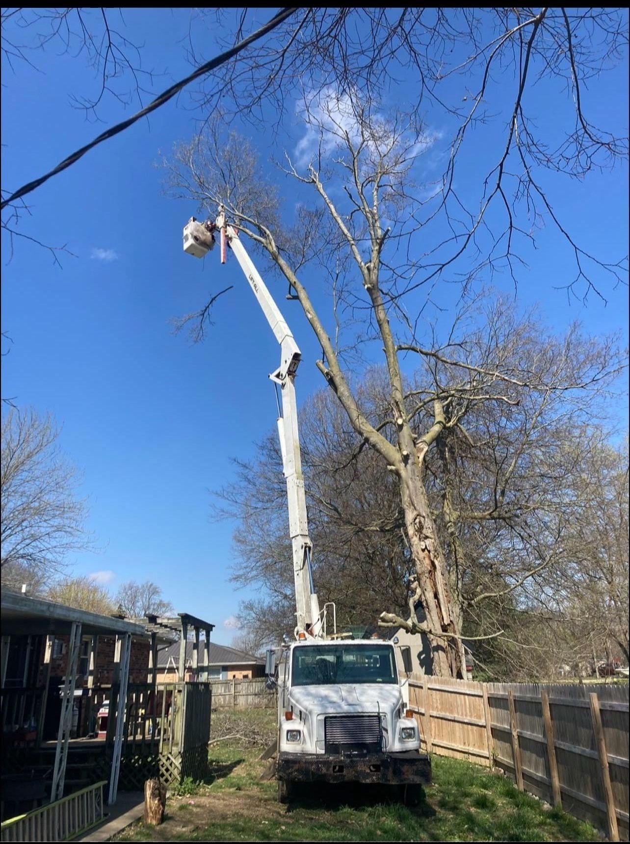 A white truck with a crane attached to it is cutting a tree.