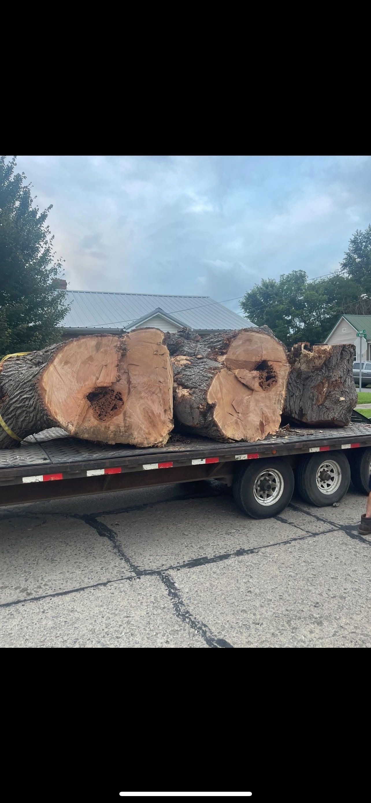 A truck is carrying a bunch of logs on a trailer.