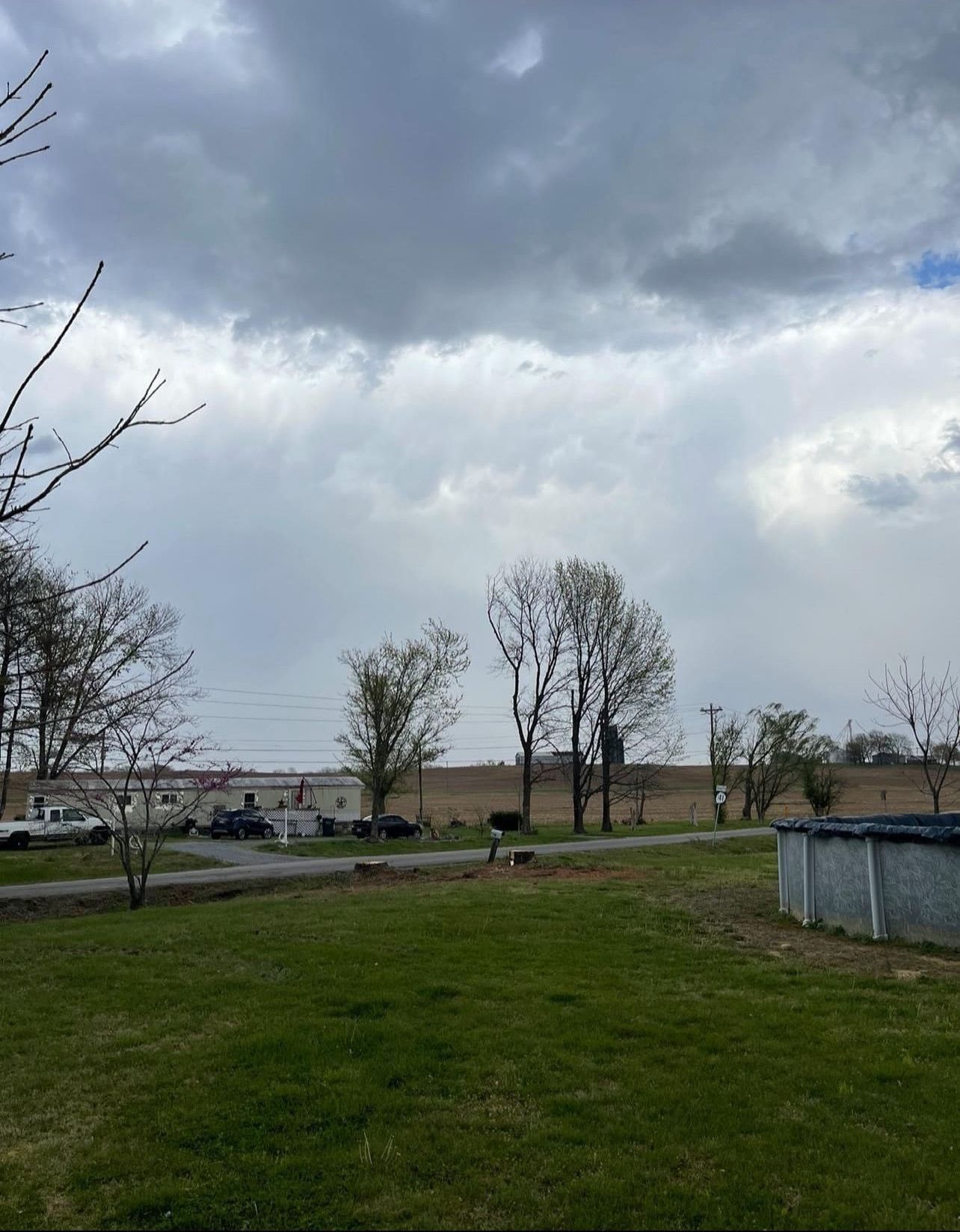 A lush green field with a cloudy sky in the background