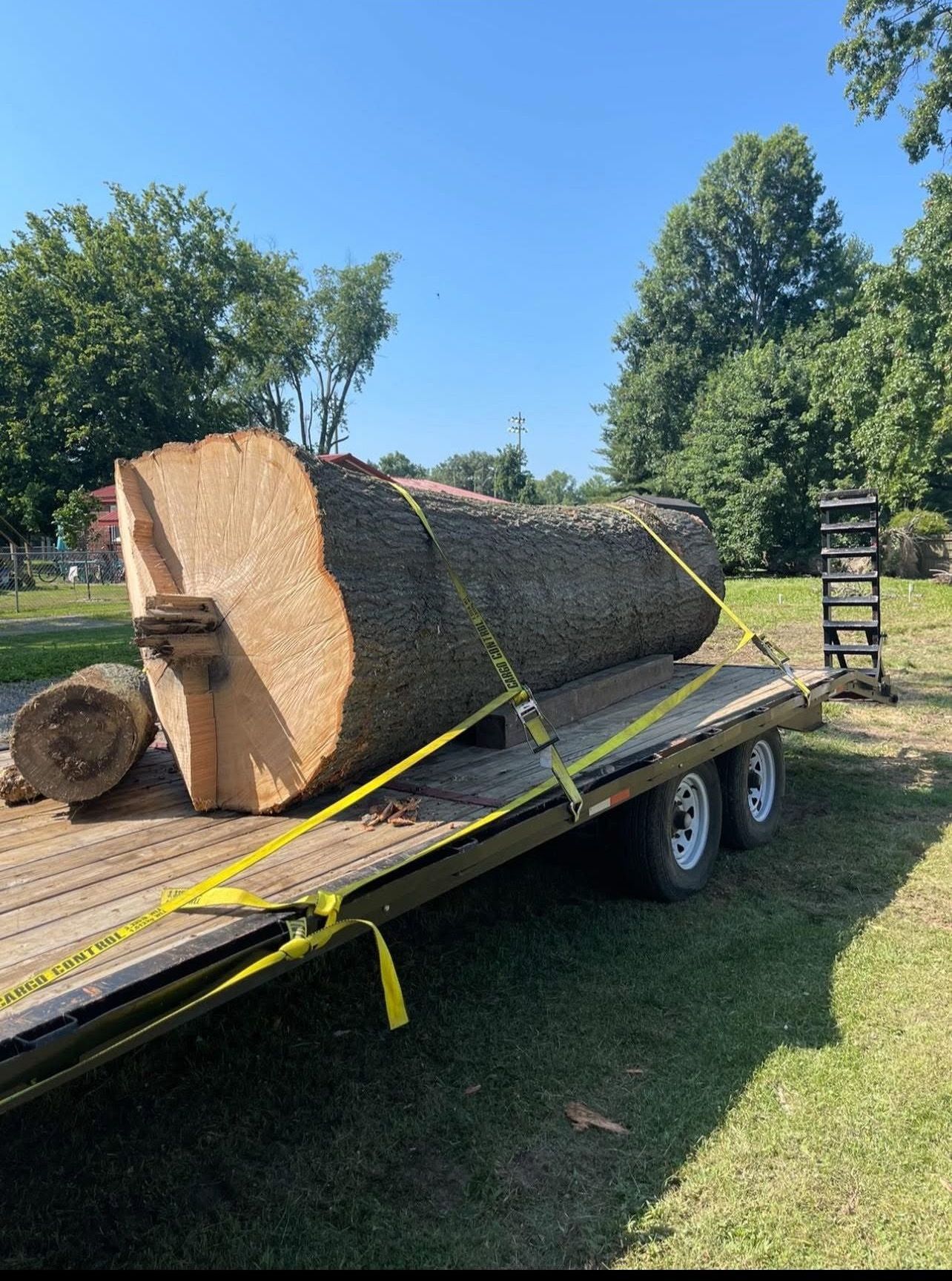 A large log is sitting on top of a trailer.