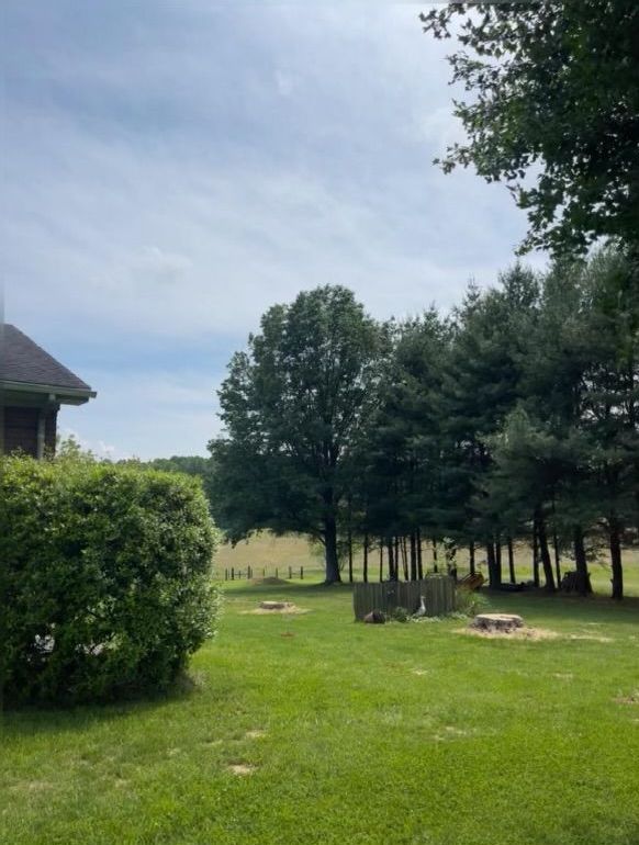 A lush green field with trees and a house in the background