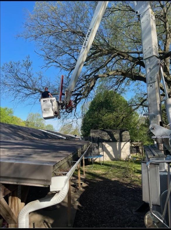 A man in a bucket is cutting a tree on the roof of a house.