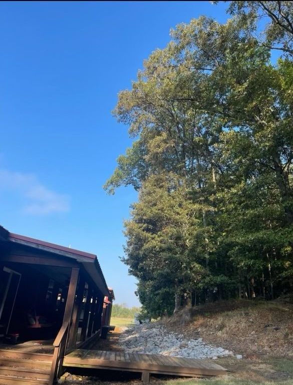 A covered bridge is surrounded by trees on a sunny day