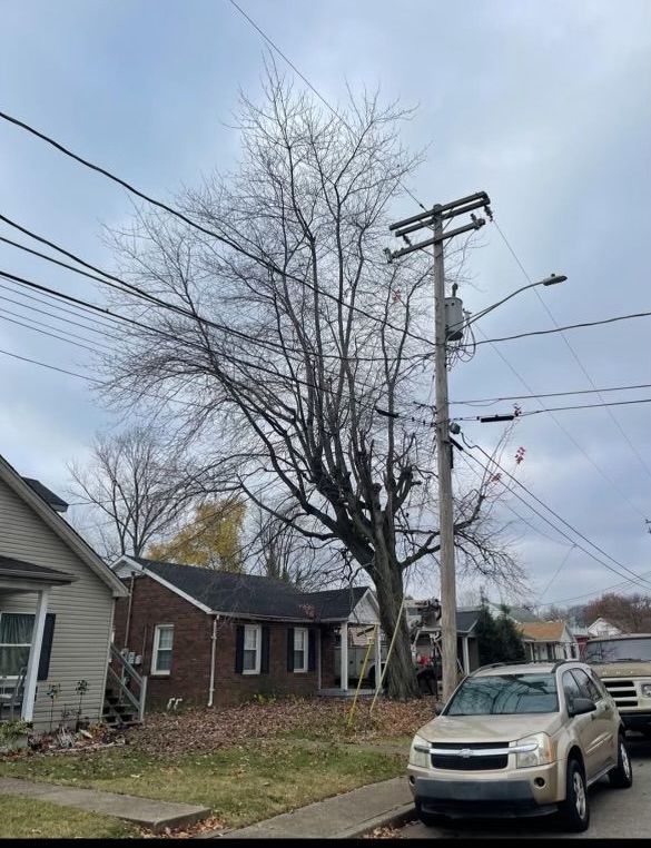 A car is parked on the side of the road in front of a house