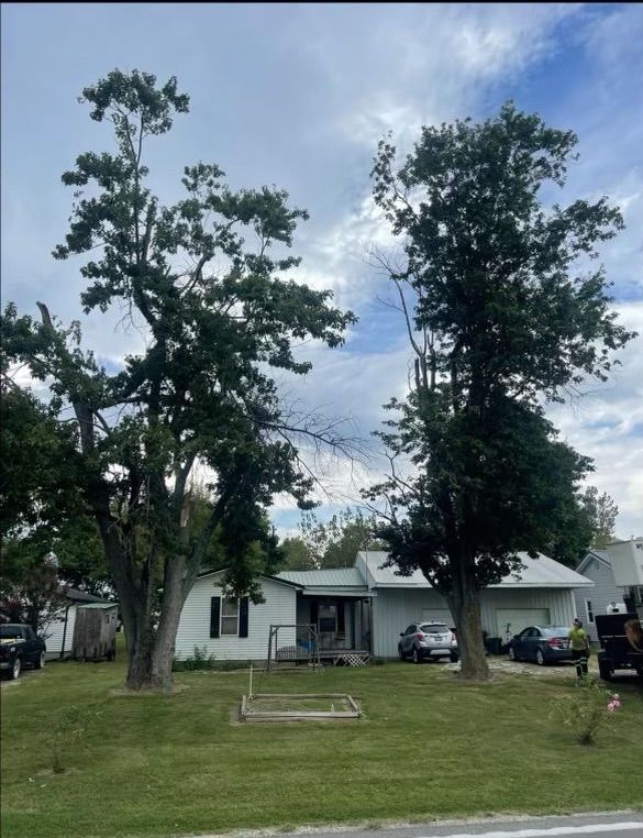 A house with two trees in front of it
