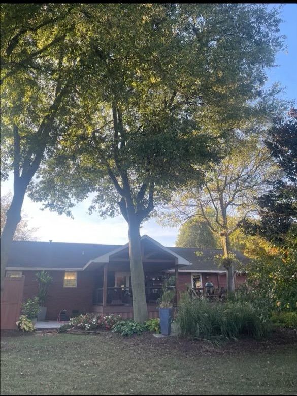 A house with a large tree in front of it