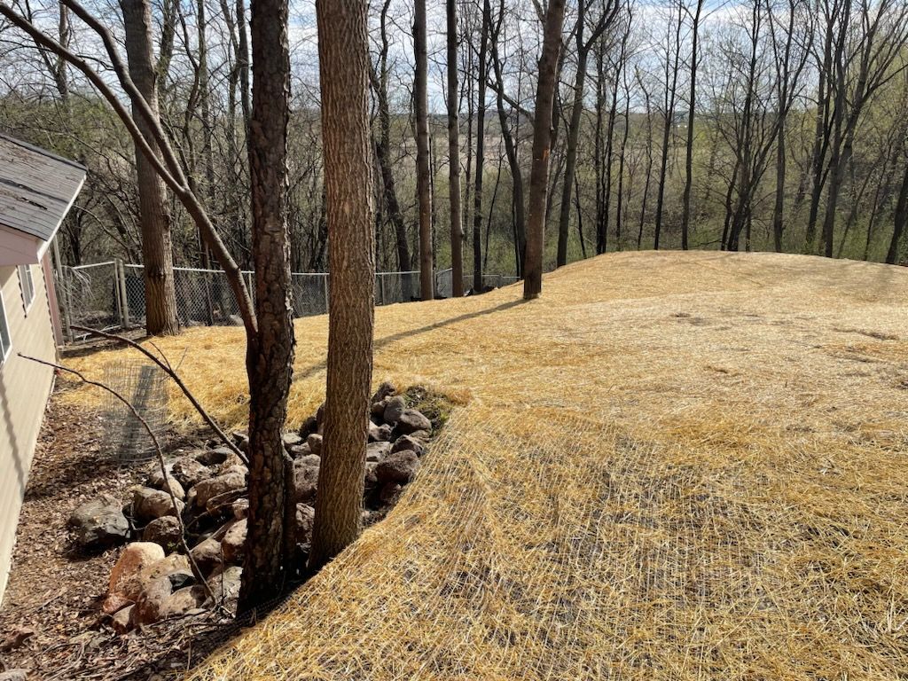 tree removal grading dirt fill straw seed regrade yard