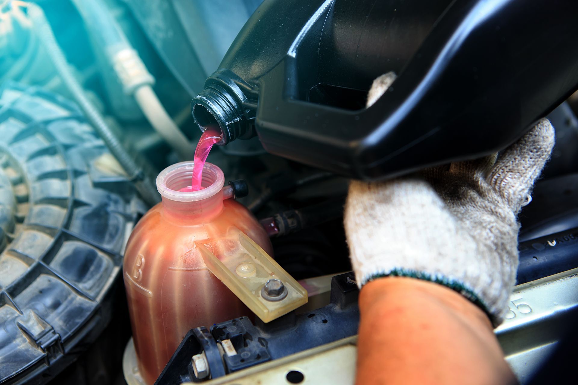 Prepare Your Vehicle for Chilly Weather With Cooling System Flush | Torque European Car Care