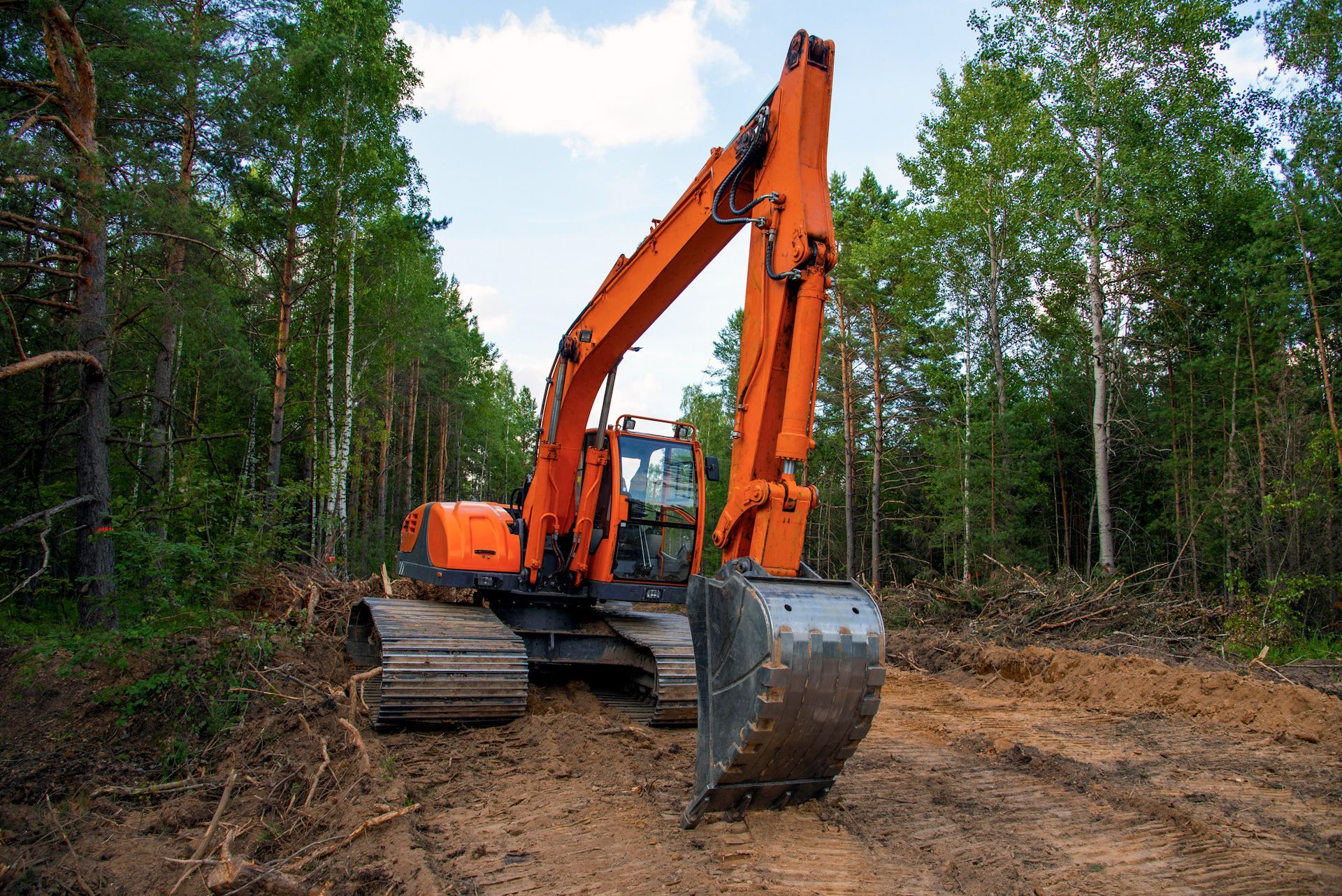 A large orange excavator is digging a hole in the middle of a forest.