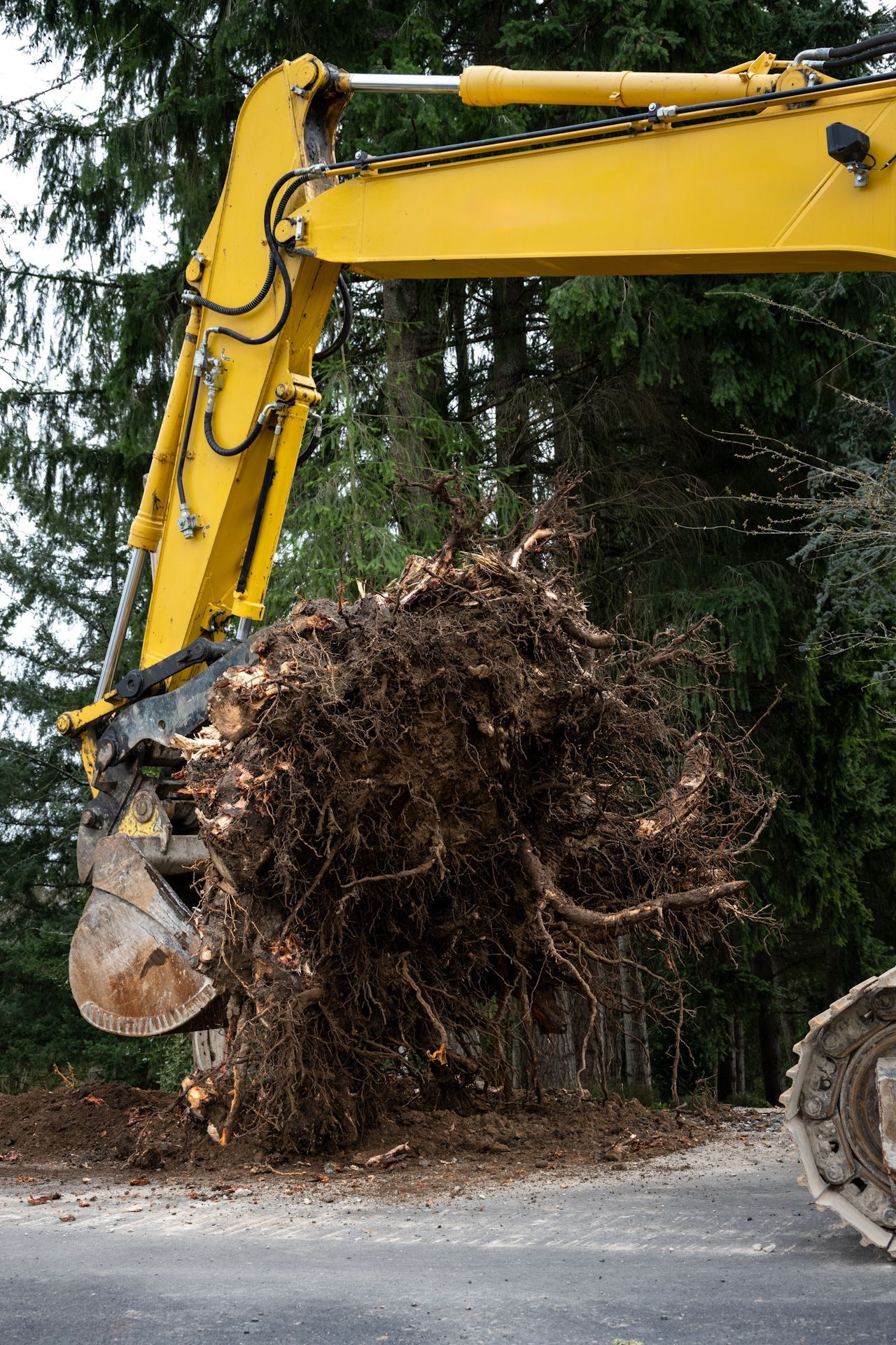 A yellow excavator is carrying a large pile of tree roots.