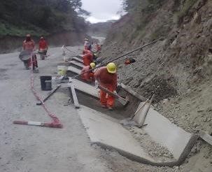 Un grupo de trabajadores de la construcción está trabajando en una carretera.