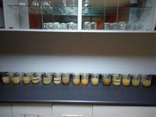 Una fila de frascos colocados encima de un mostrador al lado de un estante de vidrio.