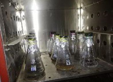 Un montón de vasos de precipitados colocados encima de una mesa en una habitación.