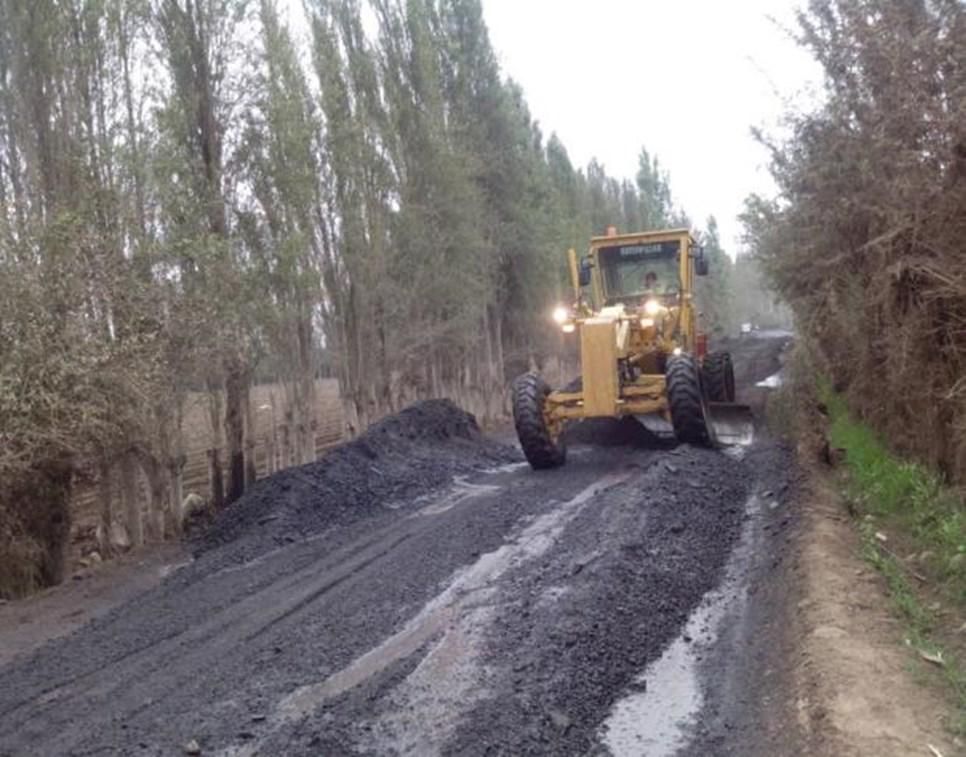 Una excavadora amarilla avanza por un camino de tierra.