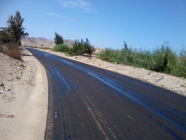 Un camino con algunos árboles al costado.