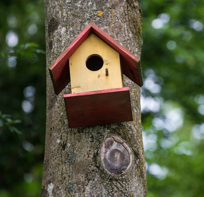 Bird Boxes in Orange | Country Tree Services