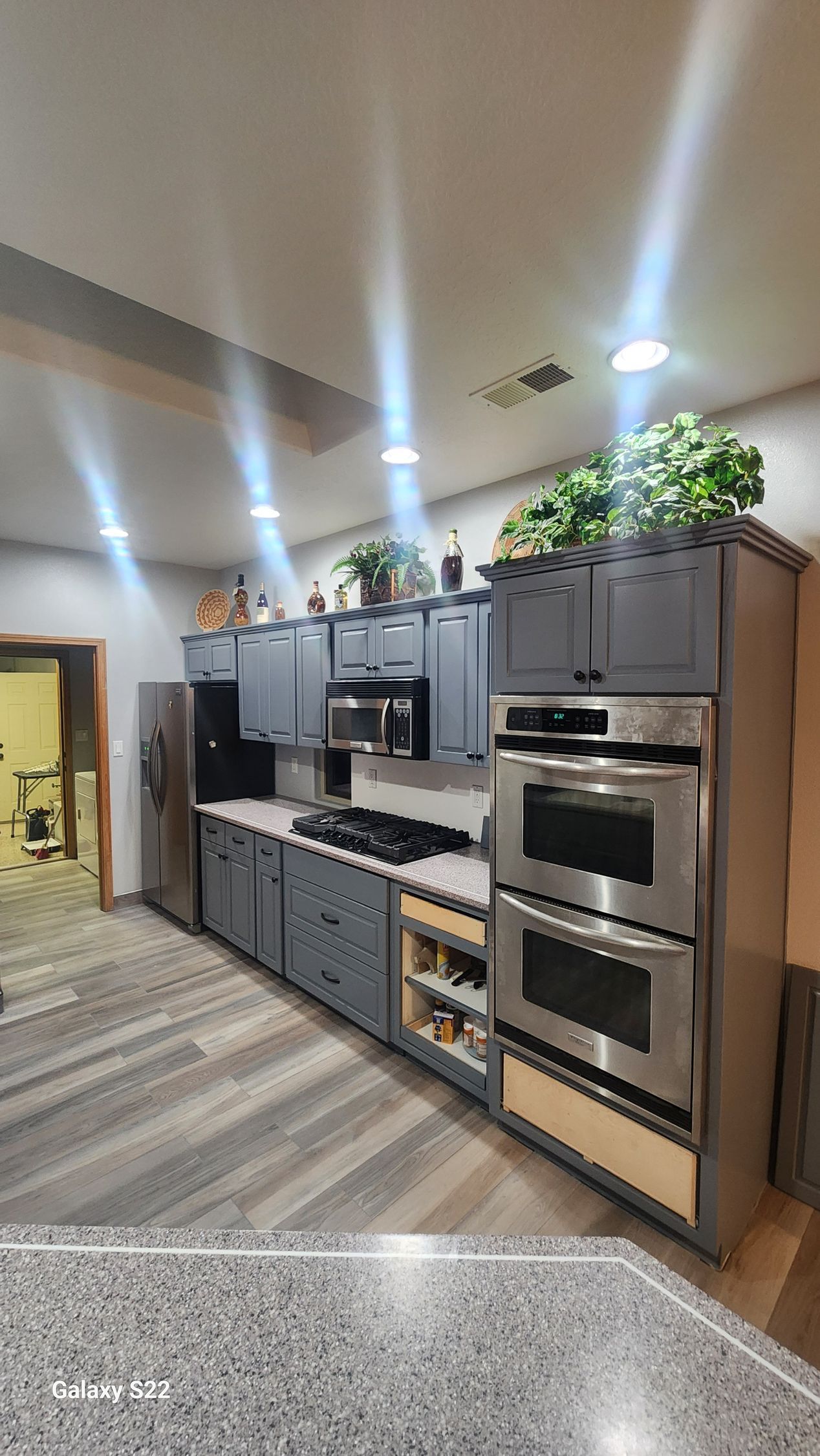 Modern kitchen with gray cabinets, stainless steel appliances, and plants on top.