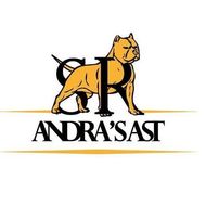 SR Andra’s AST logo