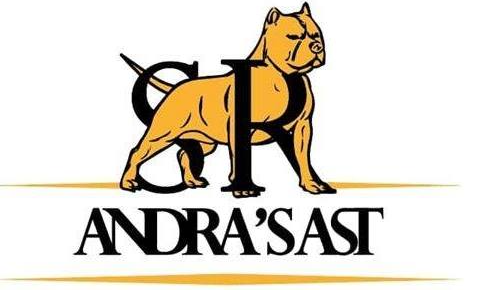SR Andra’s AST logo