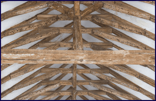 Woodworm - Bedford, Bedfordshire - Beford Homes Preservation Co - Timber Specialist